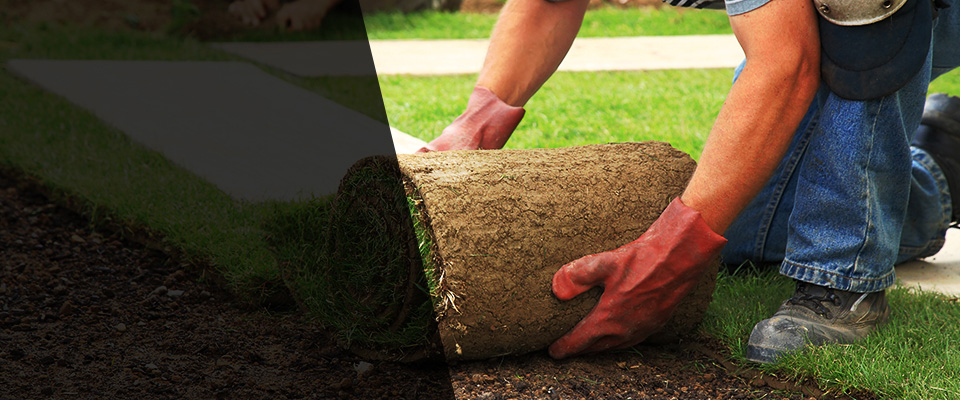 Dublin Landscapers
